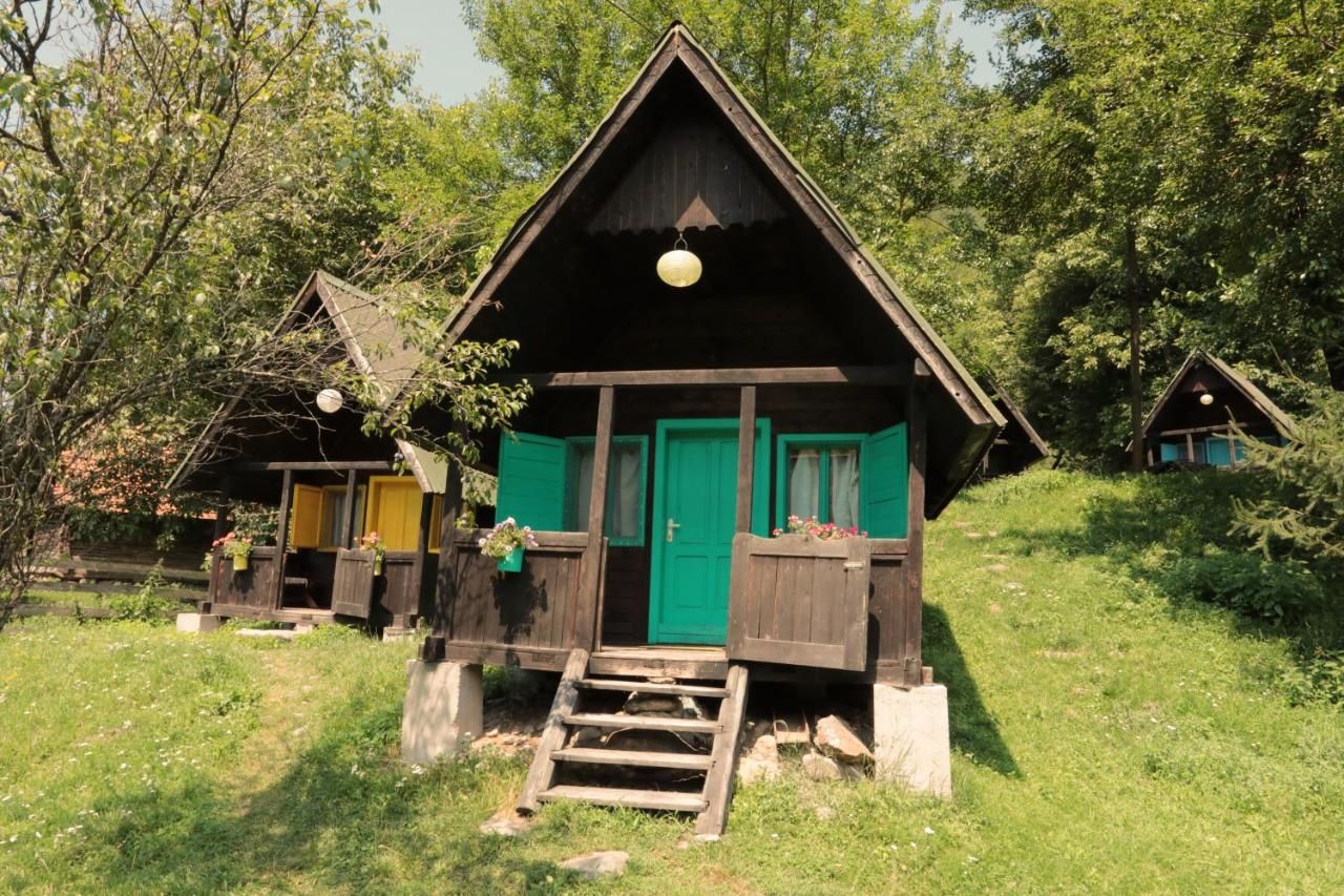 Гостевой дом Pensiunea Dacica Boşorod-32
