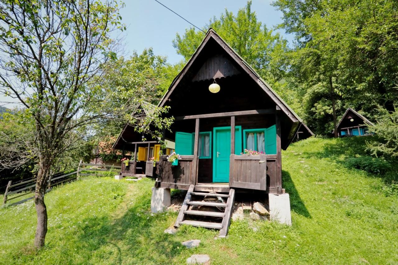 Гостевой дом Pensiunea Dacica Boşorod