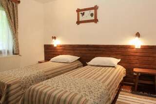 Гостевой дом Pensiunea Dacica Boşorod Двухместный номер с 1 кроватью или 2 отдельными кроватями-2