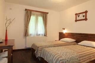 Гостевой дом Pensiunea Dacica Boşorod Двухместный номер с 1 кроватью или 2 отдельными кроватями-6