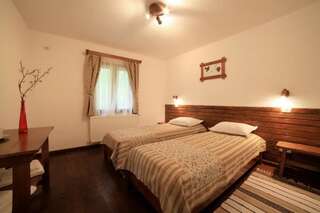 Гостевой дом Pensiunea Dacica Boşorod Двухместный номер с 1 кроватью или 2 отдельными кроватями-11
